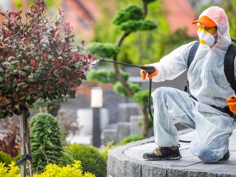 Altıevler Haşere İlaçlama